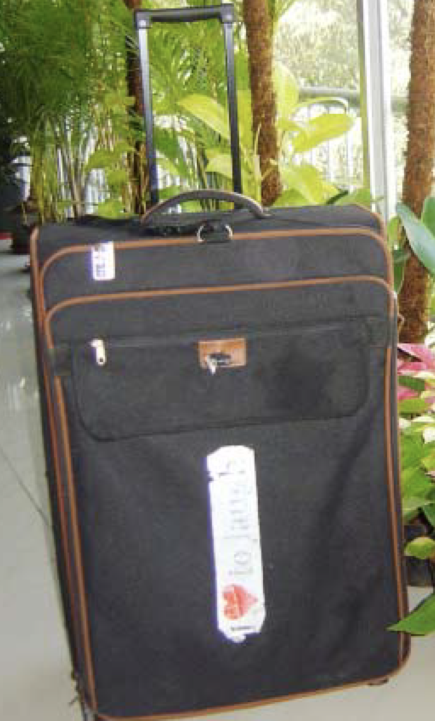 Miss A Flight ÉGet A Brand New Bag!-img